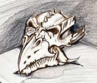 Dragon Skull